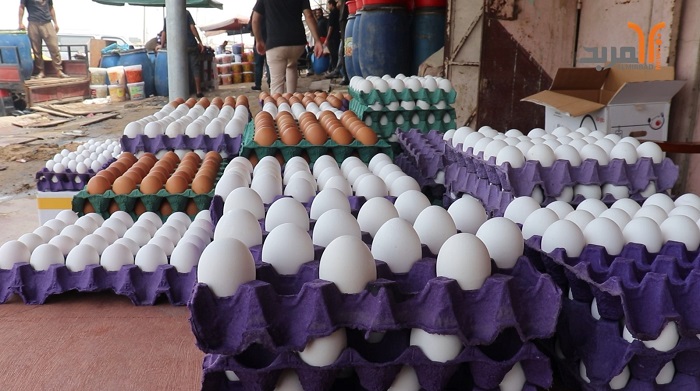 البيض صديق مائدة العراقيين .. مؤشر أسعار منخفض في أسواق البصرة .. الطبقة بـ 4 آلاف كمعدل