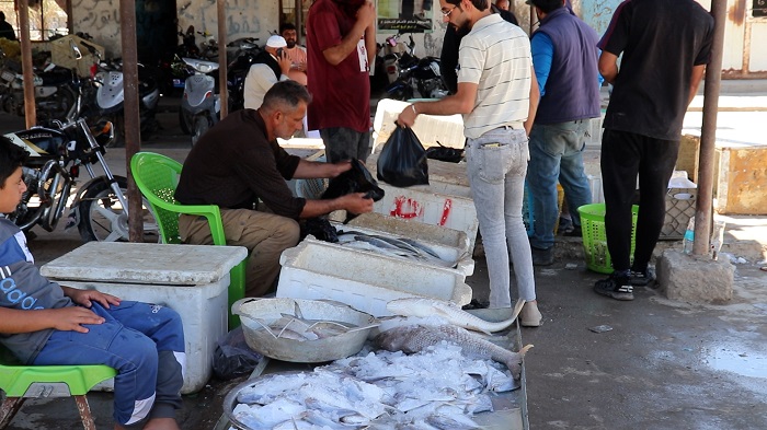 المربد تتجول بين سلال الخير في أقصى العراق لتتحرى أسعار السمك في 
