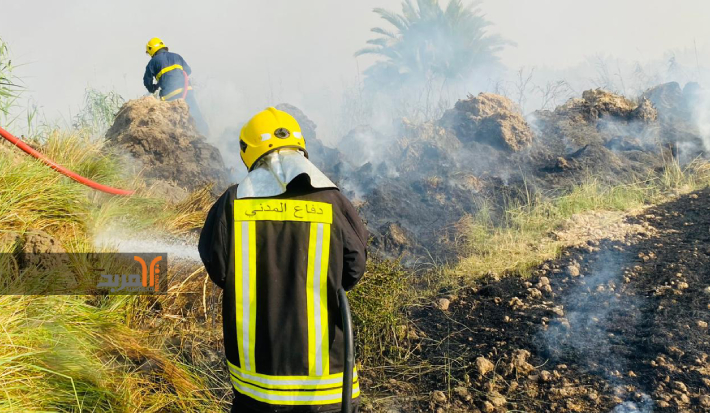السيطرة على حريق في بستان قرب السماوة