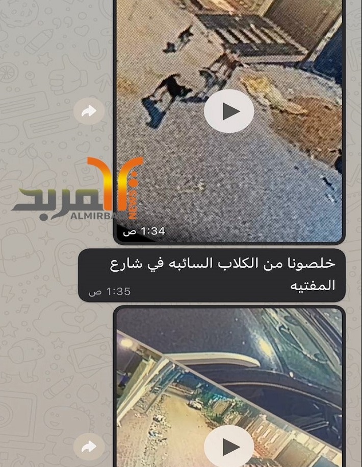 مواطن: خلصونا من الكلاب السائبة بشارع المفتية في البصرة