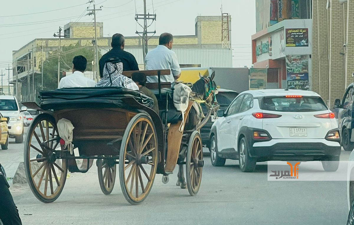 عربة يجرها حصان في شوارع البصرة .. مشهد يعيد الذاكرة لسنوات مضت عنوانها 