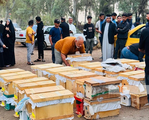 منظمة الاغذية الدولية وزارعة ميسان توزعان طرود النحل لدعم السكان المحليين